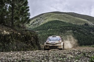 Hergen Fekken Toyota