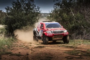 gold-Toyota gold two