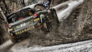 Monte shakedown