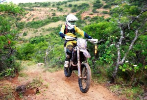 Altus de Wet