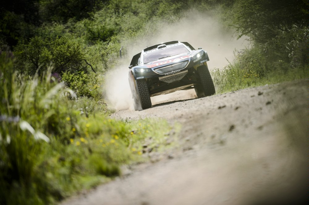 Sebastien Loeb